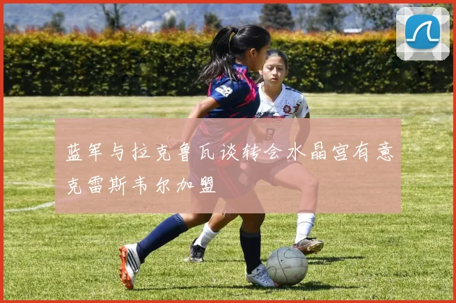 蓝军与拉克鲁瓦谈转会水晶宫有意克雷斯韦尔加盟