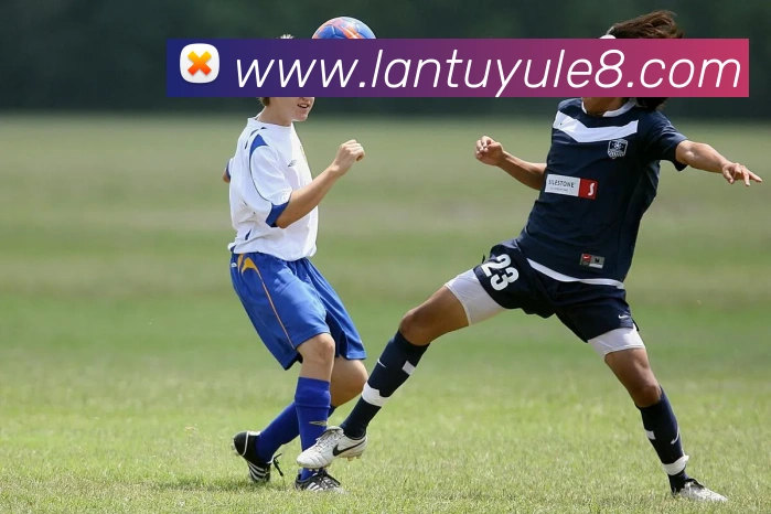多终端兼容